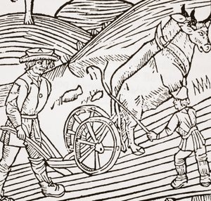 一对牛与一个犁，一个犁，来自John Fitzherberts Boke of Husbandry，第一家酒吧。 1523 作者 英语学校