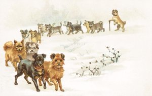 一列狗在雪中 作者 英语学校