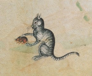 添加 42130 f.190 一只正在玩耍的家猫，选自《卢特雷尔诗篇》，始于 1340 年之前，为杰弗里-卢特雷尔爵士（1276-1345 年）而作（55684 的细节） 作者 英语学校