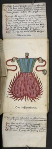 添加 MS 57312 f.10 Game-book（牛皮纸上的墨水和颜色） 作者 英语学校
