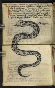 添加 MS 57312 f.4 Game-book（牛皮纸上的墨水和颜色） 作者 英语学校