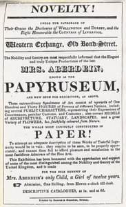 广告为Papyruseum的展览 作者 英语学校