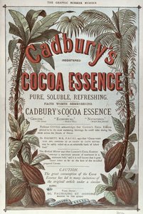 来自The Graphic，1878年的Cadburys Cocoa Essence的广告