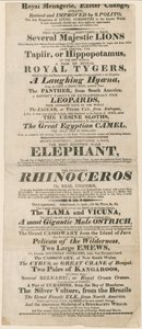 Royal Menagerie，Exeter Change的广告 作者 英语学校