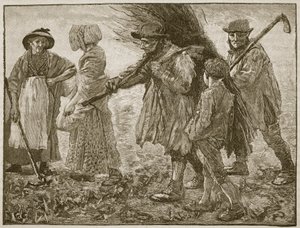 第一次改革议会时的农业劳动者，插图来自卡塞尔斯画报英国历史（棕褐色照片） 作者 英语学校