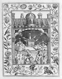 炼金实验室展示各种形式的炉子和容器，取自Theatrum Chemicum Britannicum，作者：Elias Ashmole，1652 作者 英语学校