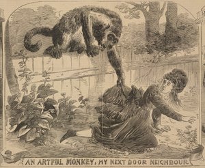 一只狡猾的猴子，我的隔壁邻居》，插图选自 1872 年 8 月 24 日的《警察新闻画报》（平版）。 作者 英语学校