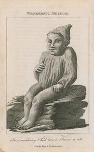 一个非凡的孩子，1683年出生于法国 作者 英语学校