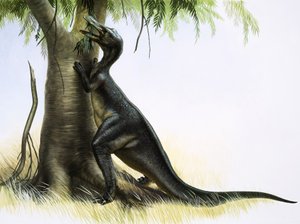 Anatosaurus 作者 英语学校