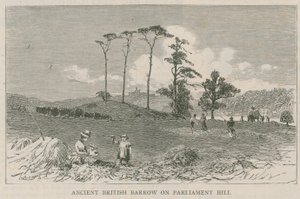 议会小山的古老英国手推车 作者 英语学校