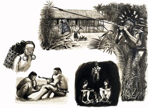 世界古代人民：婆罗洲的吹管猎人 作者 英语学校