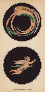 视网膜镜数字（平版） 作者 英语学校