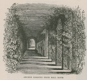 通往Ball Room，荷兰之家的拱廊 作者 英语学校