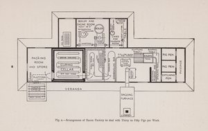 Arrangement of bacon factory to deal with thirty to fifty pigs per week (litho) 作者 英语学校