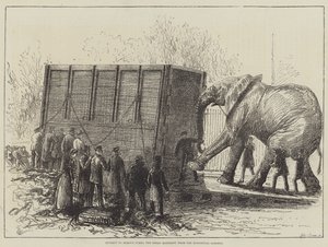 试图从动物园中移除巨型大象（石版画） 作者 英语学校