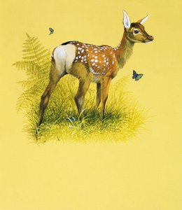 鹿宝宝（水粉纸） 作者 英语学校