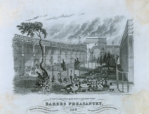 Bakers Pheasantry，切尔西 作者 英语学校