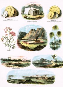 圣经插图 作者 英语学校