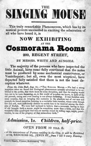 在摄政街209号Cosmorama Rooms举行的歌唱老鼠展览会上的海报，c。 1836 作者 英语学校