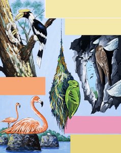 鸟蒙太奇 作者 英语学校