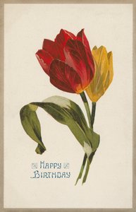 生日贺卡（彩虹色） 作者 英语学校