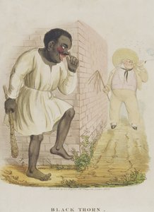 黑刺，1836年 作者 英语学校
