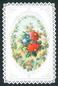 黑莓广告鲜花，卡 作者 英语学校