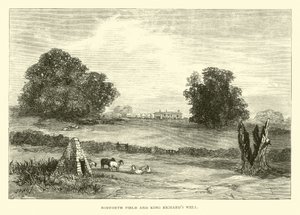Bosworth Field和King Richards Well 作者 英语学校