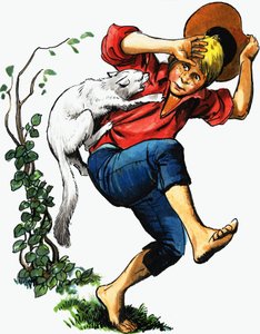 被猫袭击的男孩 作者 英语学校