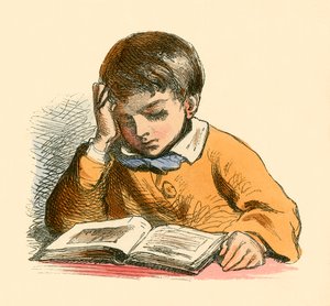 男孩读 作者 英语学校
