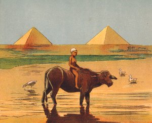 埃及金字塔前骑牛的男孩（彩色石版画） 作者 英语学校