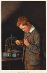 男孩与他死去的宠物金丝雀（彩色石版画） 作者 英语学校
