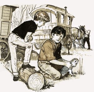 猫头鹰的男孩 作者 英语学校