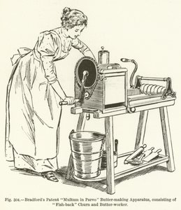 Bradfords专利Multum in Parvo Butter-making Apparatus，包括Fish-back Churn和Butter-worker 作者 英语学校
