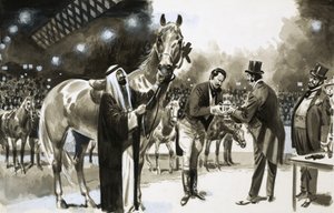 布莱恩休斯在1907年成功地哄骗了纽约马术秀 作者 英语学校