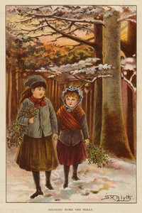 把冬青带回家》（彩色印刷版） 作者 英语学校