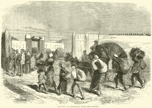 1870年10月，从郊区带来蔬菜 作者 英语学校