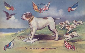 站立在与比利时的英国条约的英国牛头犬 作者 英语学校