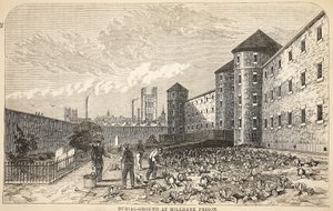 Millbank监狱的墓地，伦敦刑事监狱的插图和监狱生活的场景，Henry Mayhew和John Binny，酒吧。 1862年 作者 英语学校