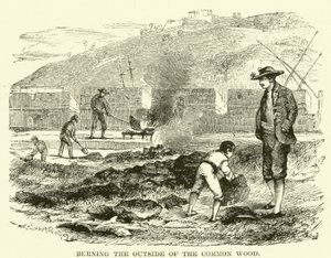 Burning the outside of the common wood (engraving) 作者 英语学校