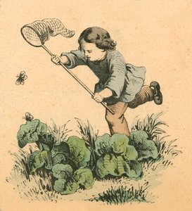 Butterflying 作者 英语学校