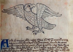 CCA-LitMs - D - 10 fol。 13r Eagle，来自Bestiary 作者 英语学校