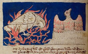 CCA-LitMs - D - 10 fol。 17v Pheonix，来自Bestiary 作者 英语学校