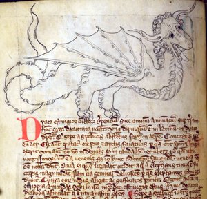 CCA-LitMs - D - 10 fol。 24v Dragon，来自Bestiary 作者 英语学校