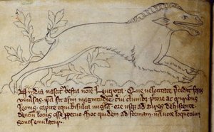 CCA-LitMs - D - 10 fol。 3v Leucrota，来自Bestiary 作者 英语学校
