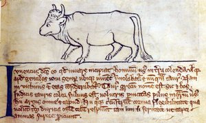 CCA-LitMs - D - 10 fol。 9r Bullock，来自Bestiary 作者 英语学校