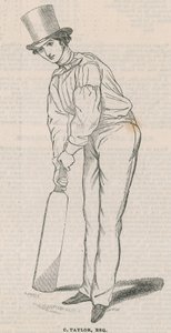 C泰勒 作者 英语学校