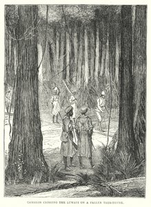 Cameron crossing the Luwati on a Fallen Tree-Trunk (engraving) 作者 英语学校