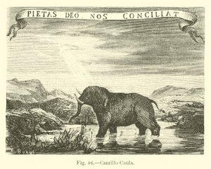 Camillo Caula 作者 英语学校