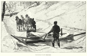 加拿大雪犁（雕刻） 作者 英语学校
